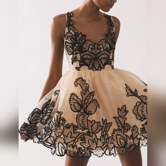 Anthropologie Maeve Sleeveless V-Neck Lace Fit & Flare Mini Dress - Picture 3 of 8